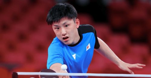 张本智和4-1林仲勋 晋级64强