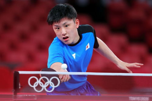 张本智和4-1林仲勋 晋级64强