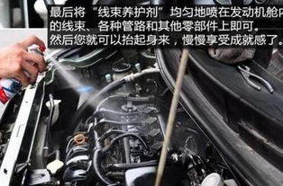 正常汽车能用多少公里