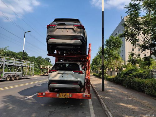 汽车托运仓鼠多少元 汽车托运仓鼠多少元