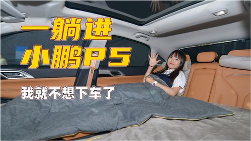有多少种汽车形态