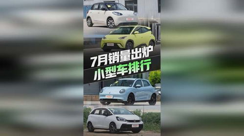 海鸥汽车重量多少公斤