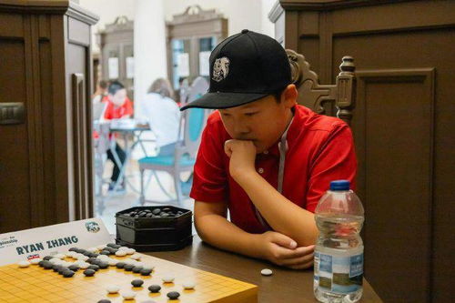 9岁围棋少年意外离世 公安回应