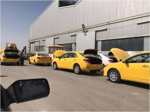 世界有多少种汽车 世界有多少种汽车