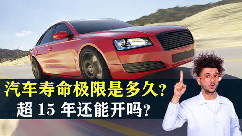 每辆汽车用多少铂金