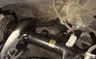 汽车减震最高多少厘米