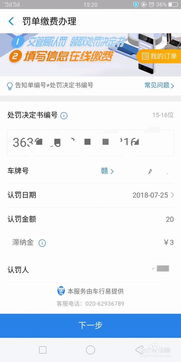 英国汽车罚单缴费多少