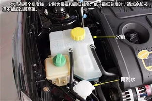汽车水箱风扇多少V