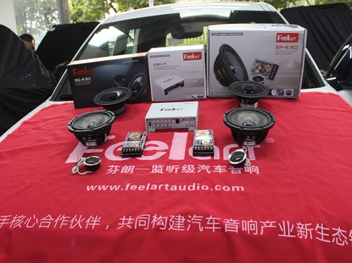 md汽车共振多少正常