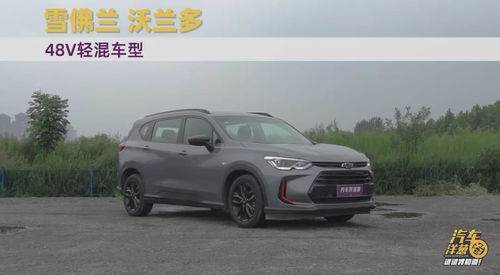 汽车轻混油耗多少