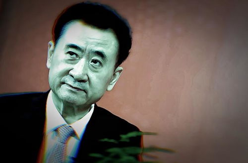 王健林已被冻结4.9亿股权