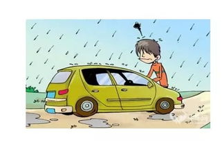 濮阳下雨多少汽车熄火