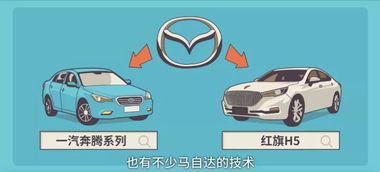 汽车能带多少瓶酒