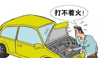 汽车包含多少种险