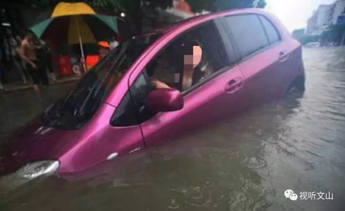 汽车雨天市区多少迈