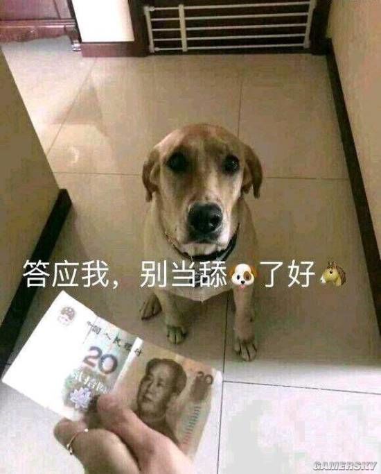 汽车舔狗有多少