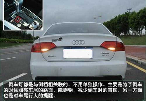 汽车新手标签多少线