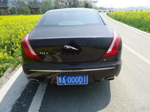 迪拜国王有多少汽车