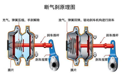 汽车分泵多少号