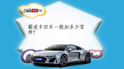 汽车加雪种多少转