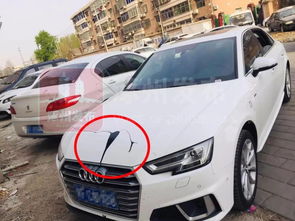 汽车全身多少副漆