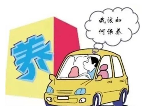 汽车保养交多少税