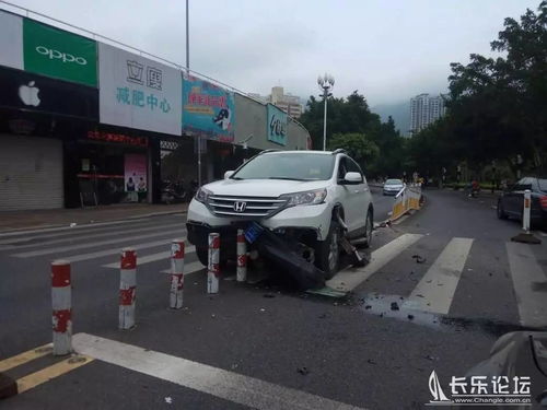 南山公园多少路汽车