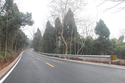 南山公园多少路汽车
