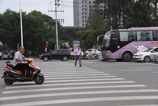 益阳汽车逆行罚款多少