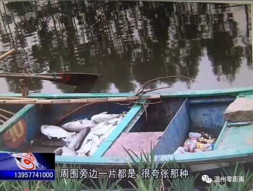 深圳一河道惊现大量成扎钞票
