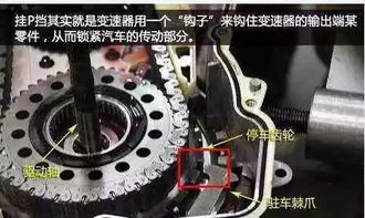 汽车上有多少弹簧