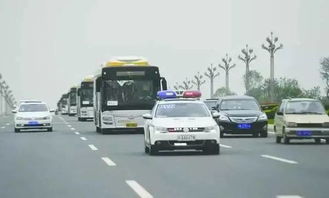 汽车家加高多少合法