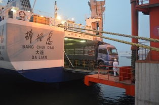长岛轮渡汽车收费多少