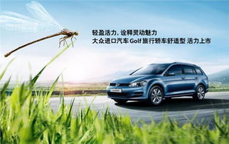 麦浪汽车多少钱