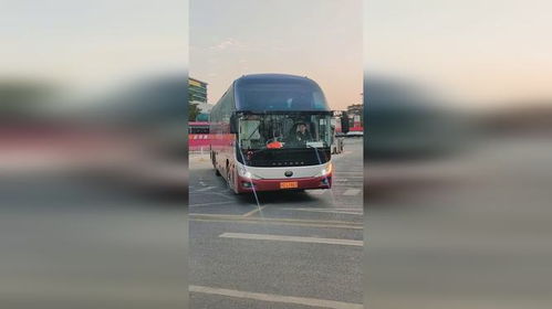 宝丰至南阳汽车多少