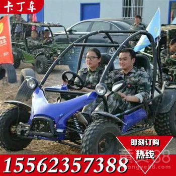 汽车卡丁车多少钱