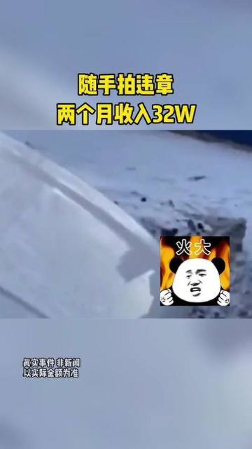 拍汽车违章奖金多少