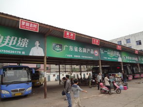罗田市场汽车收费多少