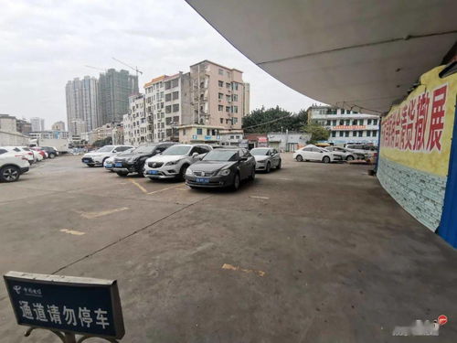 大连汽车学院空地多少