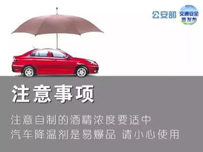 汽车可以放多少饮料