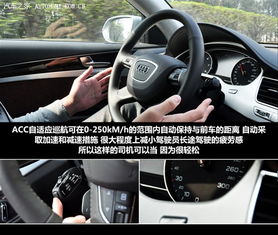 汽车雾灯距离多少米