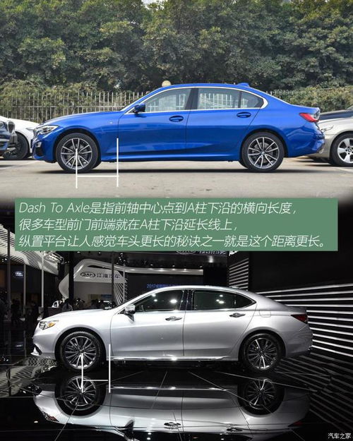 汽车珍珠比例多少正常