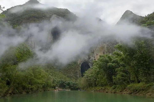宇树王兴兴给高考生的报考建议火了