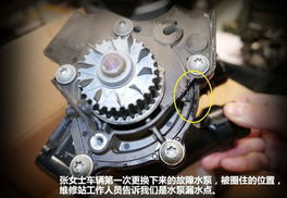 汽车水泵高度多少正常