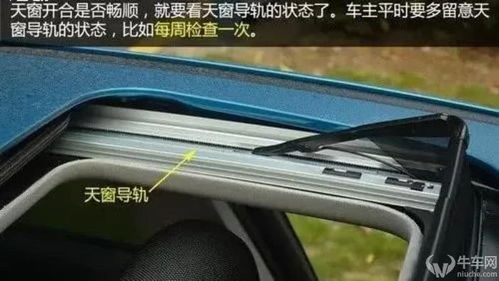 汽车显示维护 多少天
