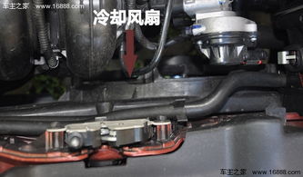 福克斯汽车电压是多少