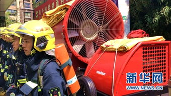 风车王牌汽车卖价多少