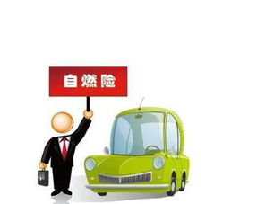 汽车全险共有多少种