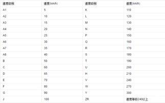 汽车载重指数多少