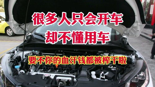 开汽车人口有多少